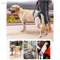 Dog Lifting Harness Auxiliary Belt Pet Straps for Back Legs Breathable M. 