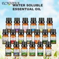 10ml Essential Oil Leakproof Soap Made Mild Water Soluble Rose Essential Fragrance for Bedroom. 