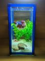 Small glass betta fish tank(1.5L). 