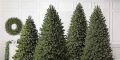 6 Feet Artificial Realistic Christmas Bushy Tree. 