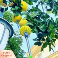 SuperRide Adjustable Fruit Picking Pole Adjustable Length Stainless Steel Fruit Picker with Basket Ideal for Avocado Fig Lemon Pear Multi Section Picking Pole Tool for Easy Harvesting Favorite Fruit Picker. 