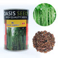 Long Beans A9 Seeds මෑ බීජ 100g. 