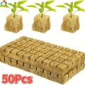 50Pcs Square Rock Wool Grow Stonewool Hydroponic Grow Media Plant Soilless Substrate Plug Seedling Block Gardening Tool. 