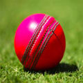 Pink Leather Cricket Ball 5 1/2 Oz. 