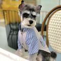 A Spring Summer Dog Shirt Fashion Striped Short Sleeve Cool Comfortable Cotton Shirt Universal Dog Clothes For Most Dogs. 