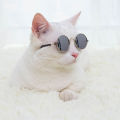 EzyMart - Round Cat Sunglasses Reflection Eye wear glasses For Small Dog Cat Pet Photos Props Accessories. 