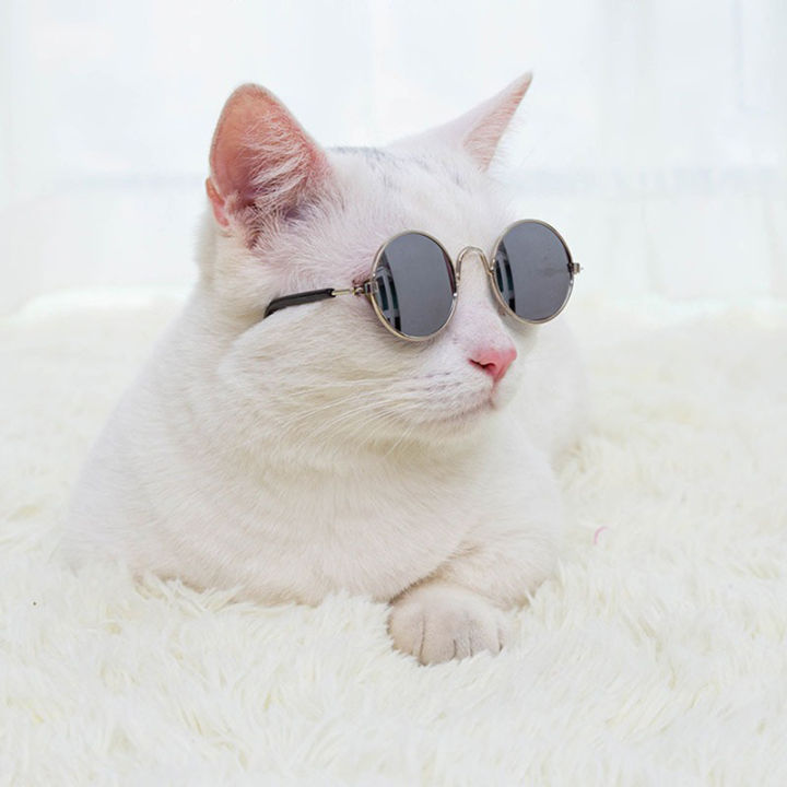 EzyMart%20-%20Round%20Cat%20Sunglasses%20Reflection%20Eye%20wear%20glasses%20For%20Small%20Dog%20Cat%20Pet%20Photos%20Props%20Accessories%20-%20Image%206