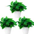 Artificial Plants Eucalyptus Grass Plastic Ferns Green Leaves Flower Plant Wedding Home Decoration Table Decors. 