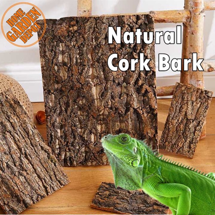 ♧┅Oak Natural Cork Bark- Reptile Terrarium Climb Platform Hiding Hut Landscape Habitat Décor Hideout