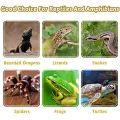 Natural Cork Bark for Tarantula Hideout Reptile Terrarium Climb Platform Tree Bark Background. 