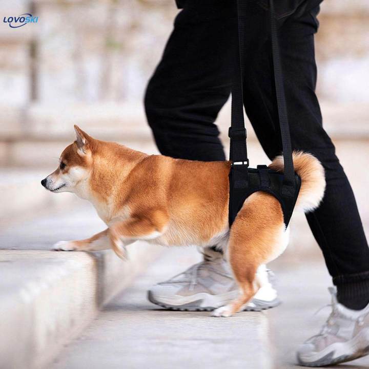 Dog Lift Walking Auxiliary Belt for Large Dogs for Disabled Dogs Injured Dogs XL black