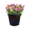34cm Pot 5pcs set Black High Quality Plastic Flower Pot Long Durability Home Garden. 