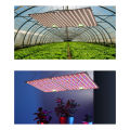 Poplikdfr 60W LED Quantum Board Plant Grow Light Full Spectrum Dimming Timer Succulents Growing Lights For Indoor Plants. 