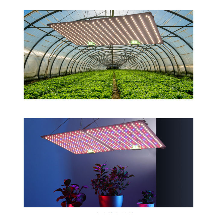 Poplikdfr%2060W%20LED%20Quantum%20Board%20Plant%20Grow%20Light%20Full%20Spectrum%20Dimming%20Timer%20Succulents%20Growing%20Lights%20For%20Indoor%20Plants%20-%20Image%202