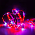 12V 5050 5m LED Strip Grow light Full Spectrum LED Flower Plant Phyto Growth lamp For Greenhouse Hydroponic Plant Growing. 