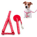 Medium Adjustable Dog Harness and Outdoor Walking Nylon Dog Leash Lead Pets Dog Sale Durable Traction Training Rope Dog Belt Dog Chain Dog Body Belt Chest Belt Step-in Harness Strap Stainless Steel Metal Buckle Plastic Clasp Dog Collar Dog Strap Dogs Belt. 