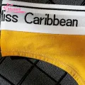 Muses Mall Seamless Thongs Comfortable Seamless Low Waist Women's Thongs with Wide Waistband Anti-bacterial Breathable Lady Underwear Briefs for Women Low-rise Briefs. 
