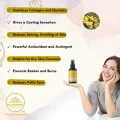 Wildflower Essentials Witch Hazel Toner Astringent For Pore Tightening, Skin, Hair, Body Alcohol Free (30ml)FROM INDIA)JEZ. 