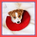 VibeVendor Dog Calming Pillow U Shape Ultra Soft Fluffy Pet Calming Half Donut Cuddler Cuddler Pillow Pet gelaoph. 