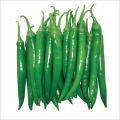 Chilli, Amu Miris F1 Hybrid, Onesh Ajax MICH1 25 Seeds Pack. 