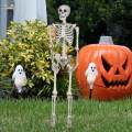 Skull Halloween Skeleton Full Body Realistic Decorations Faux Human Skeleton for Home. 