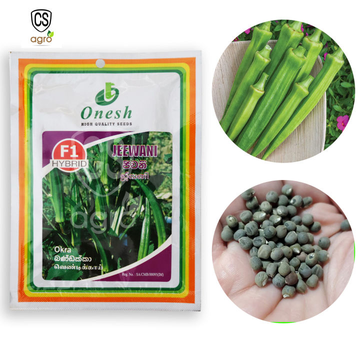 F1%20Hybrid%20Okra%20Jeewani%20Seeds%2010g%20Bandakka%20Beeja%20%E0%B6%B6%E0%B6%AB%E0%B7%8A%E0%B6%A9%E0%B6%9A%E0%B7%8A%E0%B6%9A%E0%B7%8F%20%E0%B6%B6%E0%B7%93%E0%B6%A2%20Home%20Gardening%20Agriculture%20-%20Image%203