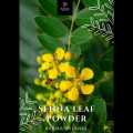 KAMA SENNA (RANAWARA) LEAF POWDER - 100G. 