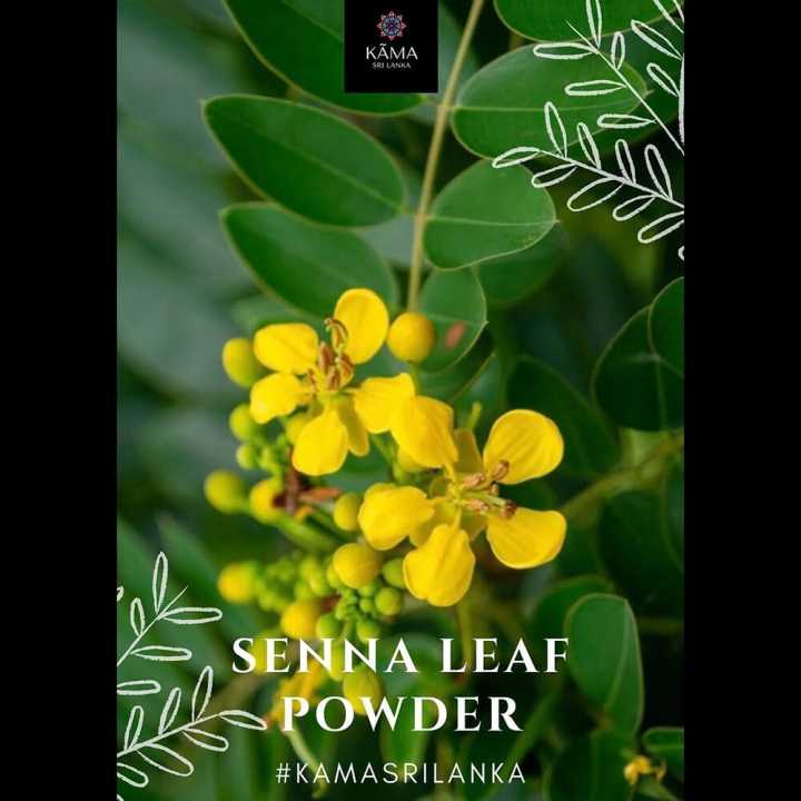 KAMA%20SENNA%20(RANAWARA)%20LEAF%20POWDER%20-%20100G%20-%20Image%203