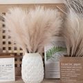 Natural Fake Wedding Decor For Home Decoration Bedroom Plante Artificial Flower Pampas Grass Fake Flowers Artificial Reed. 