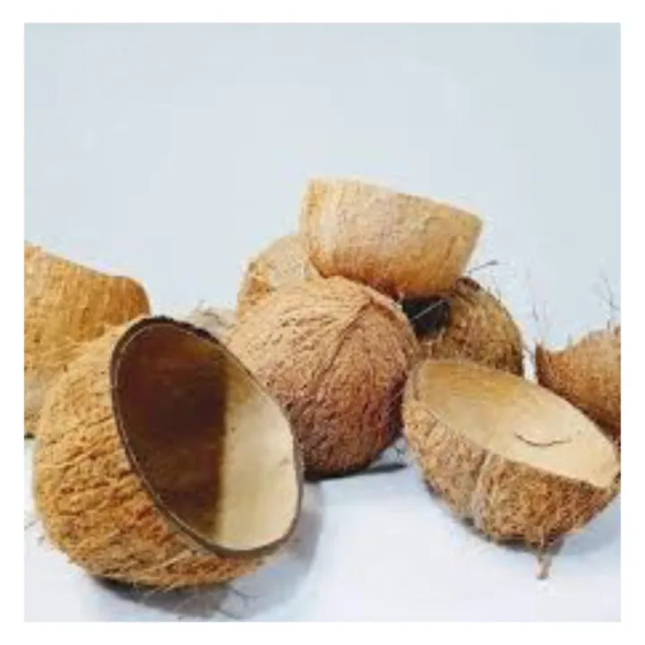 COCONUT%20SHELL%20CHIPS1%20kg,1%20Kg%20Raw%20type%20Natural%20Coconut%20shell%20chips%20for%20activated%20charcoal,%20cooking%20and%20orchids%20-%20Image%206