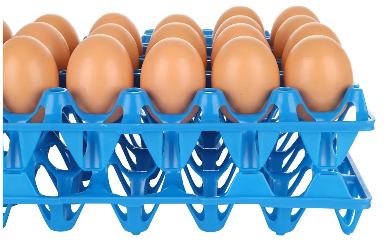 Plastic Egg Tray 30-Egg Reusable Storage Container