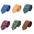 New Style Ties for Men Paisley Polyester Jacquard Woven Necktie Formal Wedding Party. 