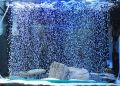 Aquarium Air Stone Bar 4/6/8/10/12/18/24 Inch Fish Tank Bubble Wall Bubbler Fish Tank Bubbler Stone with Plastic Base Square Oxygen Diffuser Air Stone Strip. 
