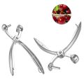 New 6'' Cherry Fruit Kitchen Pitter Remover Olive Corer Remove Pit Tool Seed Gadge Fruit and Vegetable Tools Cherry Pitter. 