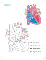 Children Activity Colouring Books Biology  Human Organs. 