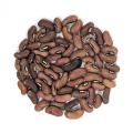 Local Bean Seeds දේශීය මෑ බීජ 100g. 