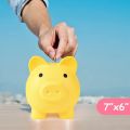 Plastic Money Bank, for Girls and Boys, Gifts for Birthday(Pink). 