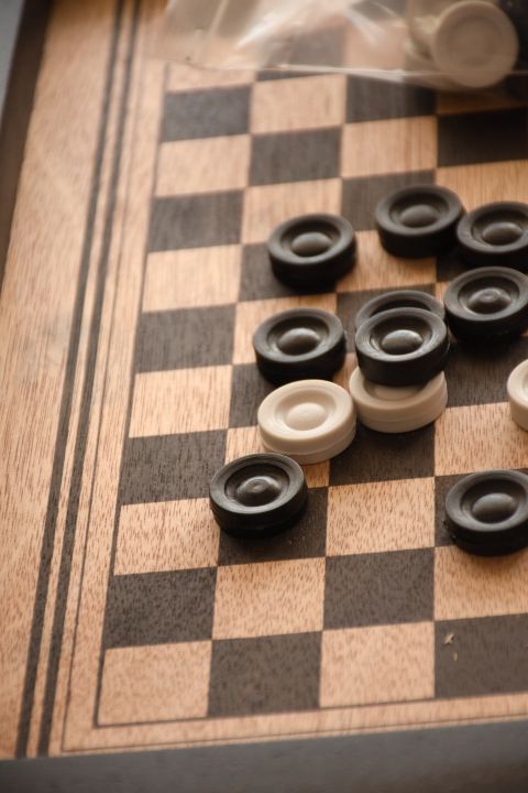 Checker%20board%20dam%20board%20-%20Image%204