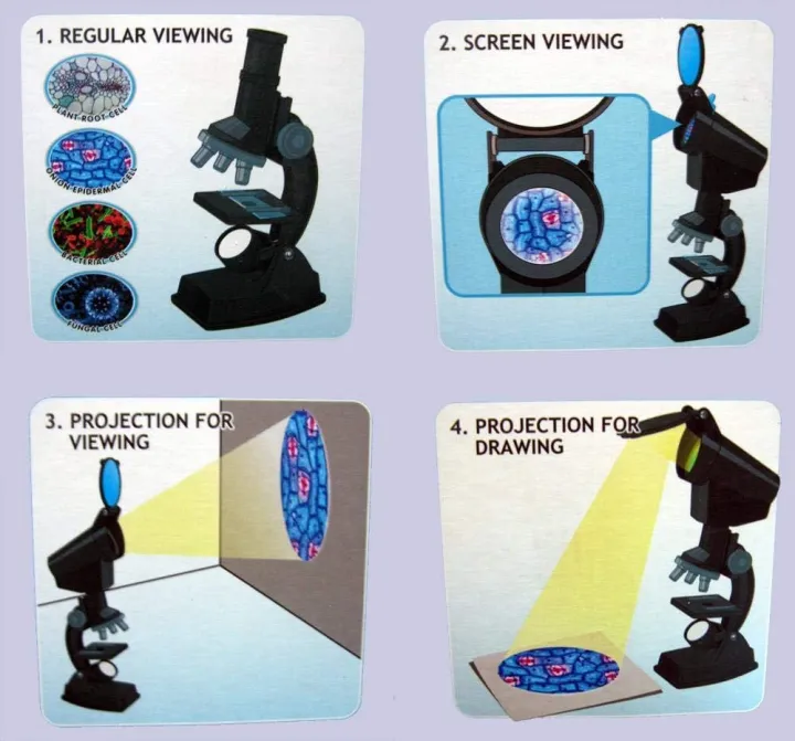 MICROSCOPE%200346%7CLED%20Lab%20Microscope%20Kit%20For%20Children%20Biology%20Microscope%20For%20Schoolboy%20Home%20School%20Science%20Educational%20Toy%7C%20%7CInfinity%20needs%7C%20-%20Image%203