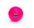 jaspo T-20 Plus Practice Cricket Ball/Wind Balls (125-130 GMS) for - Indoor & Outdoor Street & Beach Cricket (Pack of 3) (Pink)(FROM INDIA)NUZ. 
