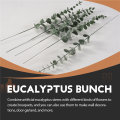 36 Pieces of Eucalyptus Stems Artificial Eucalyptus Leaf Stems True Gray Leaf Branches. 