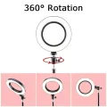 10 inch selfie Ring Light With 7ft Stand Tripod For YouTube, Online Classes, TikTok & Photography. 