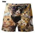 New fashion cute cat graphic board shorts for men 3D printed casual unisex funny animal beach swimming shorts men trunks. 