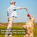 Dog Training Ball on Rope Solid Rubber Rope Ball Tug Ball Toy for Medium and Small Dog  Tough Rope Toys  Non-Toxic and Durable Dog Toys. 
