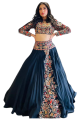 Georgette Embroidered Lehenga Women's Indian Ethnic Wear Long Skirt with Blouse Piece. 