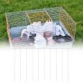 Gentlemange 10Pcs Pigeon Birds Entrance T Traps Metal for Birds Cage Yard. 