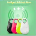 Pet Smart GPS Tracker Mini Anti-Lost Waterproof Bluetooth Locator Tracer For Pet Dog Cat Kids Car Wallet Key Collar Accessories. 