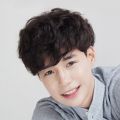 【Popular Categories】 Hair Accessories Fashion Short Curly Wig Natural Brown Male Wavy Wigs Handsome Hair Extensions Men Synthetic Hair Daily.