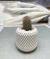 Concrete Pot Cactus & Succulent Cement Planter Unique Square and Round Design Garden Home Decor Gift Pot Indoor Plant Pot Flower Vase Cement Pots Planter for Indoor and Outdoor. 