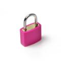 Mini 2 Padlock Compact 2 Steel Anti  Suitcase lock Strong Mini Diary lock for Travelers Suitcases Diaries Backpacks Security measures Travel 2. 